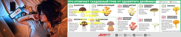 а пвп мука Новозыбков