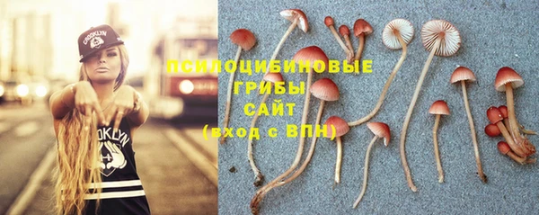 стафф Нефтегорск