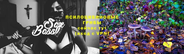 гидропоника Нея