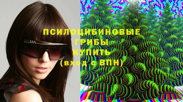 гидропоника Нея