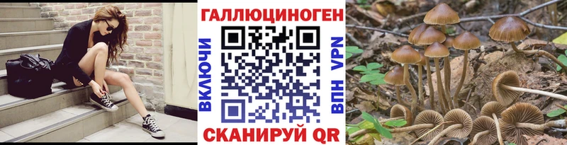 даркнет сайт Менделеевск Галлюциногенные грибы Magic Shrooms