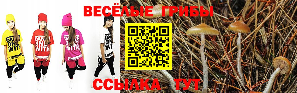 Галлюциногенные грибы Magic Shrooms  Менделеевск 