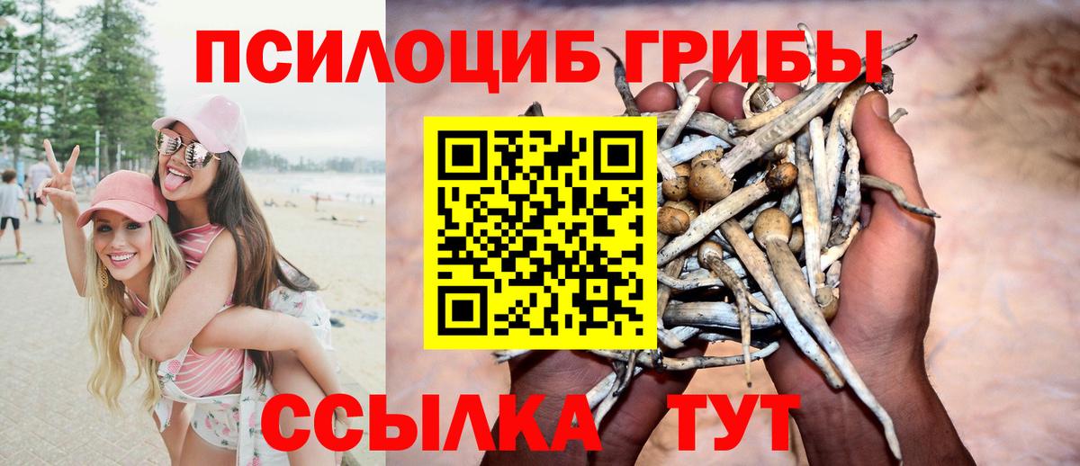 Галлюциногенные грибы GOLDEN TEACHER Менделеевск