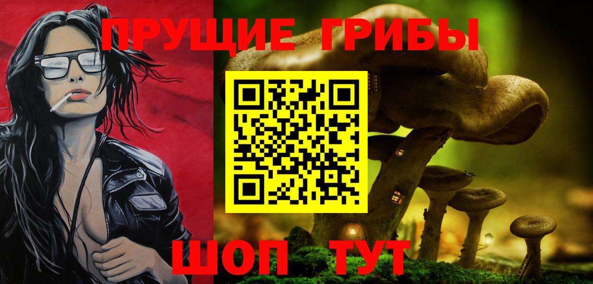 Менделеевск  Галлюциногенные грибы мицелий  Вход с VPN 