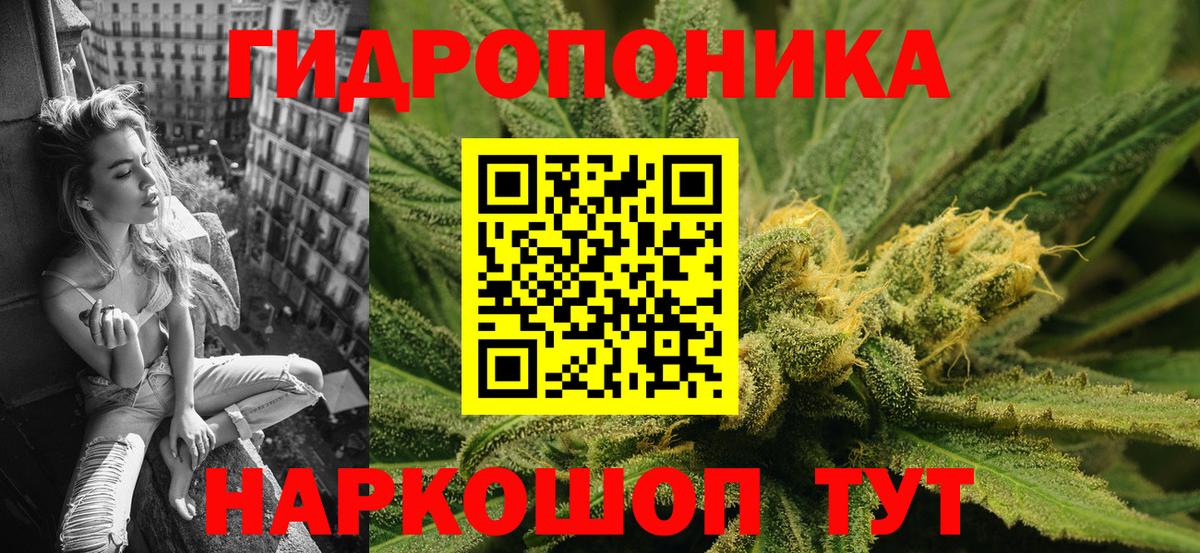 Шишки марихуана планчик  Менделеевск  Бошки марихуана Amnesia  Каннабис Bruce Banner 